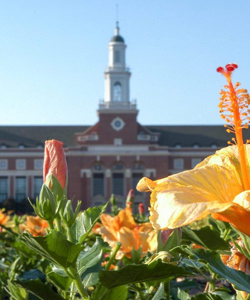 Stillwater, OK - Library at Oklahoma State University With Flowers in the Foreground on a Sunny Day