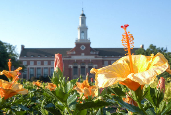 Stillwater, OK - Library at Oklahoma State University With Flowers in the Foreground on a Sunny Day